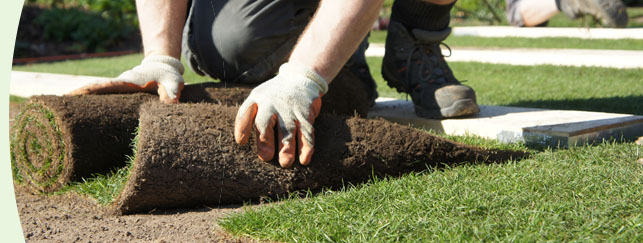 York Landscape Gardening