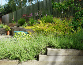 Planting Services in York
