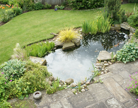 York Ponds and Water Features