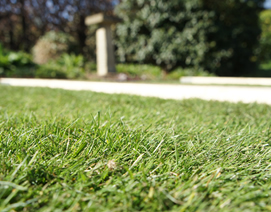 Artifical Lawns in York