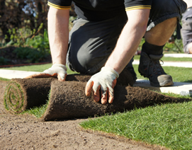 Lawns and Turfing